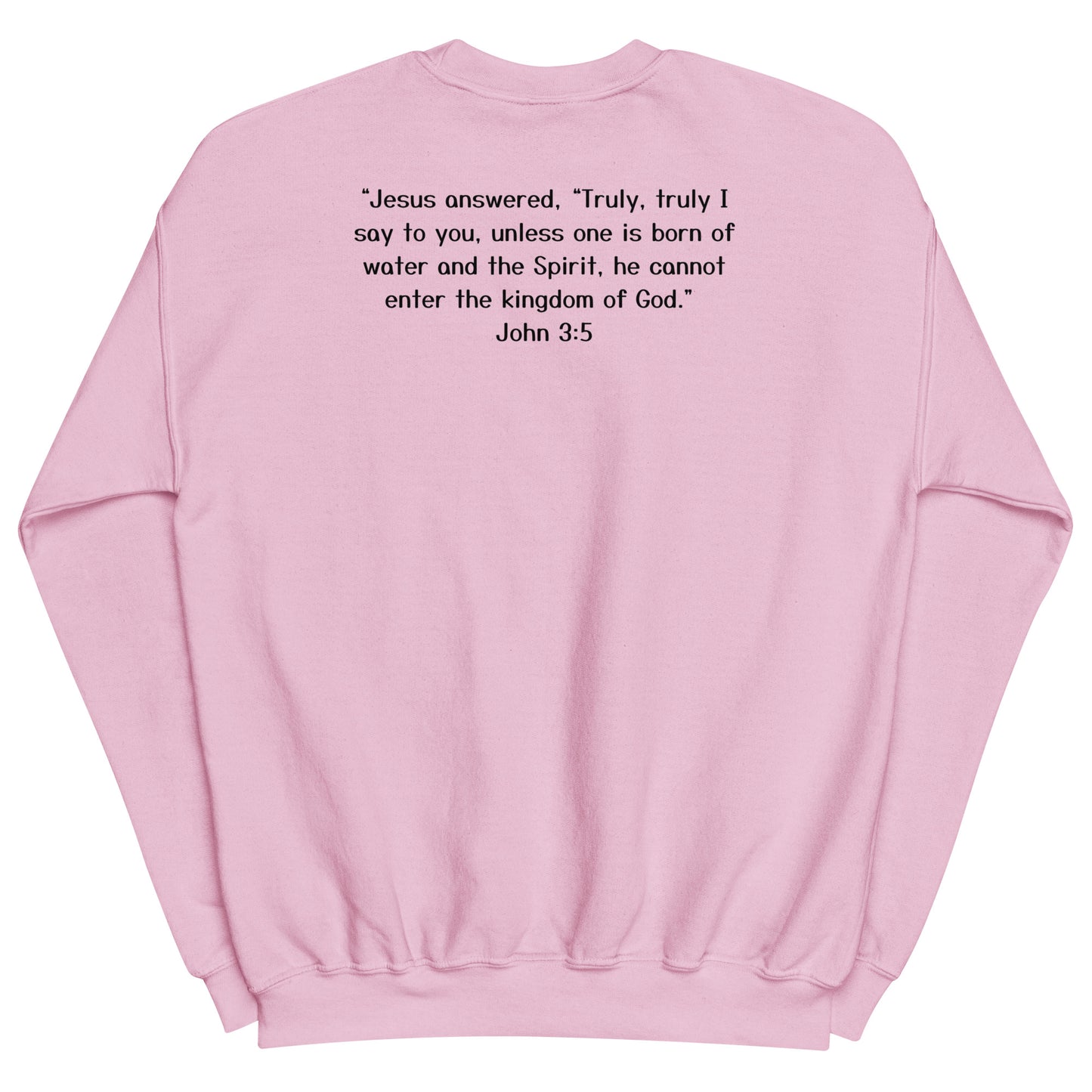 Baptized Dragon Sweatshirt